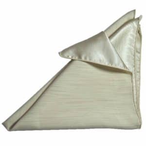 Two Sided Napkin Tan Rental Products
