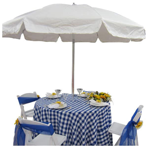 Blue Gingham with Center Hole for Umbrella