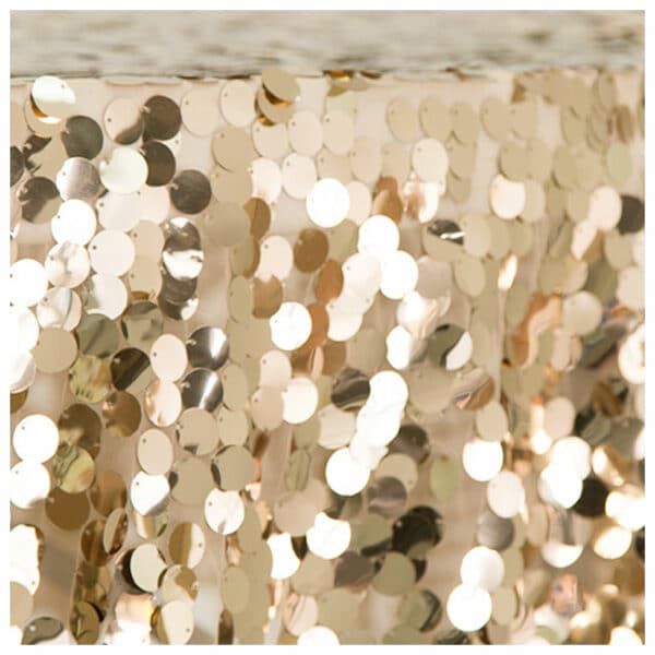 Large Payette Sequin Champagne