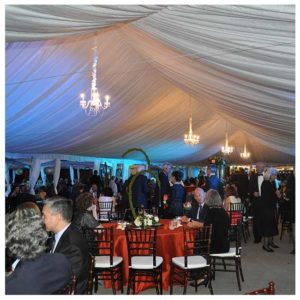Fabric Tent Ceiling Liner Rental Product