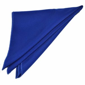 Polyester Royal Blue Napkin Rental Products